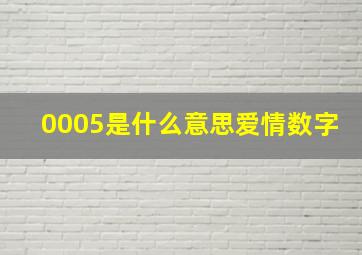 0005是什么意思爱情数字