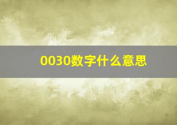 0030数字什么意思