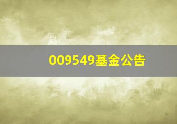 009549基金公告