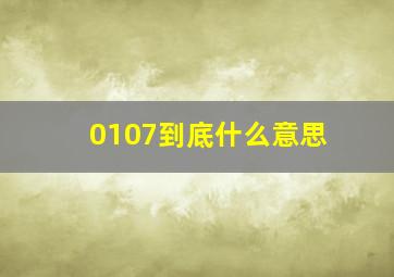 0107到底什么意思