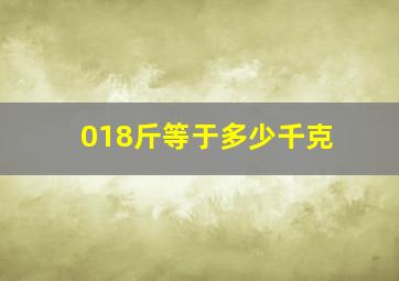 018斤等于多少千克