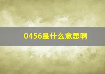 0456是什么意思啊