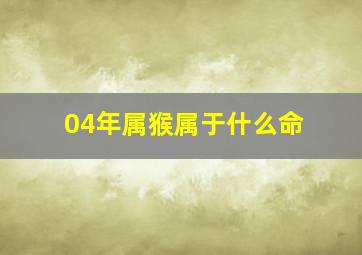 04年属猴属于什么命