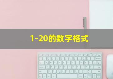 1-20的数字格式