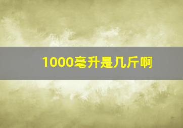 1000毫升是几斤啊