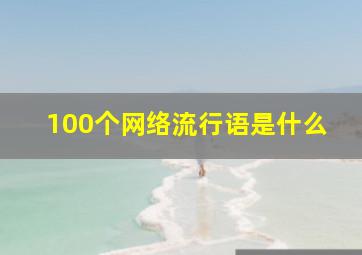 100个网络流行语是什么