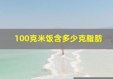 100克米饭含多少克脂肪