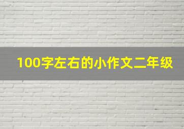 100字左右的小作文二年级