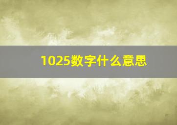 1025数字什么意思