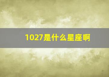 1027是什么星座啊