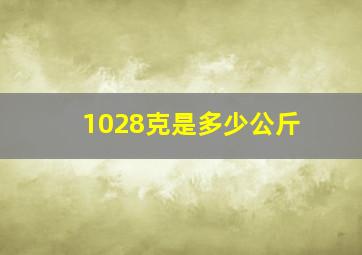 1028克是多少公斤