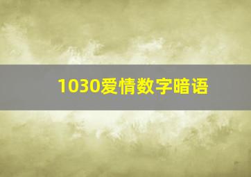 1030爱情数字暗语