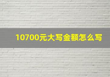 10700元大写金额怎么写