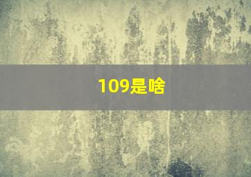 109是啥