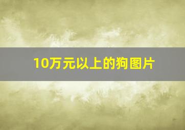 10万元以上的狗图片