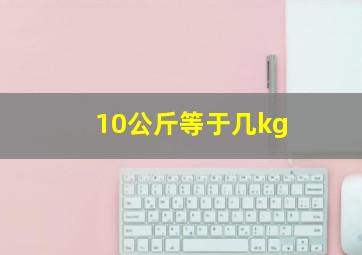 10公斤等于几kg