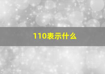 110表示什么