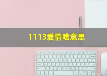 1113爱情啥意思