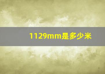 1129mm是多少米