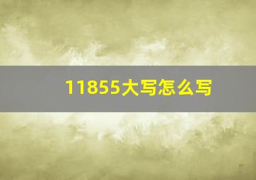 11855大写怎么写