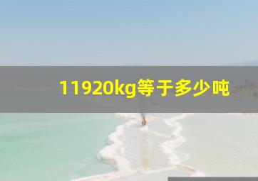 11920kg等于多少吨