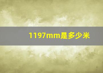 1197mm是多少米