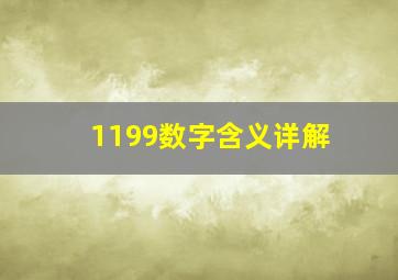 1199数字含义详解