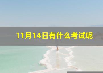 11月14日有什么考试呢