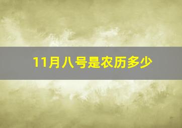 11月八号是农历多少