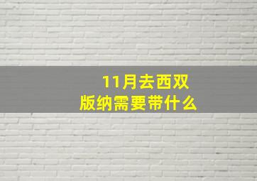 11月去西双版纳需要带什么