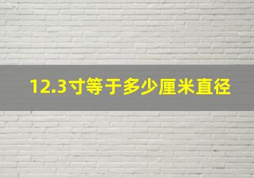 12.3寸等于多少厘米直径