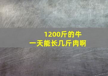 1200斤的牛一天能长几斤肉啊