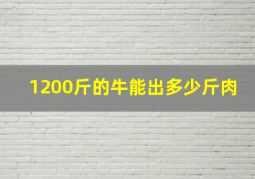 1200斤的牛能出多少斤肉