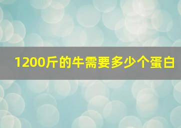 1200斤的牛需要多少个蛋白