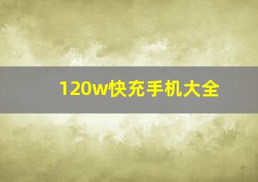 120w快充手机大全