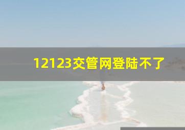 12123交管网登陆不了