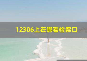 12306上在哪看检票口