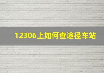 12306上如何查途径车站