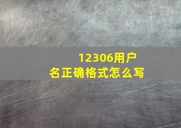 12306用户名正确格式怎么写