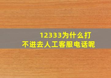 12333为什么打不进去人工客服电话呢