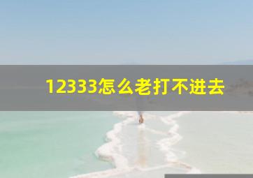 12333怎么老打不进去