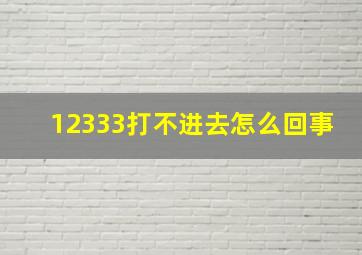 12333打不进去怎么回事