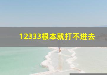 12333根本就打不进去