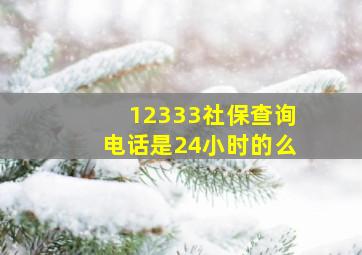 12333社保查询电话是24小时的么