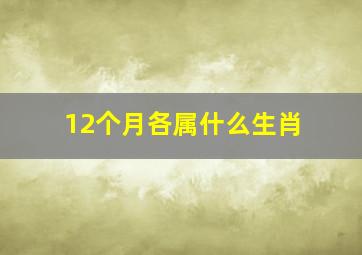 12个月各属什么生肖