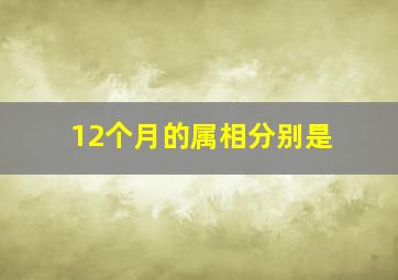 12个月的属相分别是