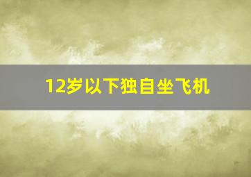 12岁以下独自坐飞机