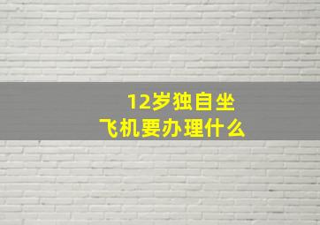 12岁独自坐飞机要办理什么