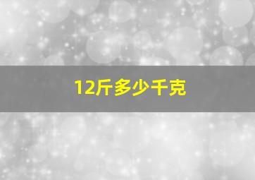 12斤多少千克