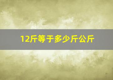 12斤等于多少斤公斤